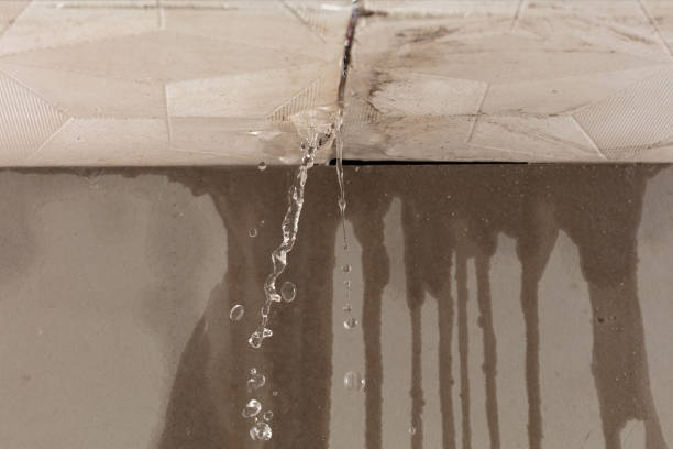 Professional Water Damage Restoration technician working in Gardner, KS